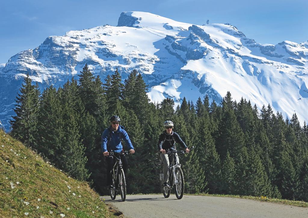 Hotel Engelberg "Mein Trail Hotel" ภายนอก รูปภาพ